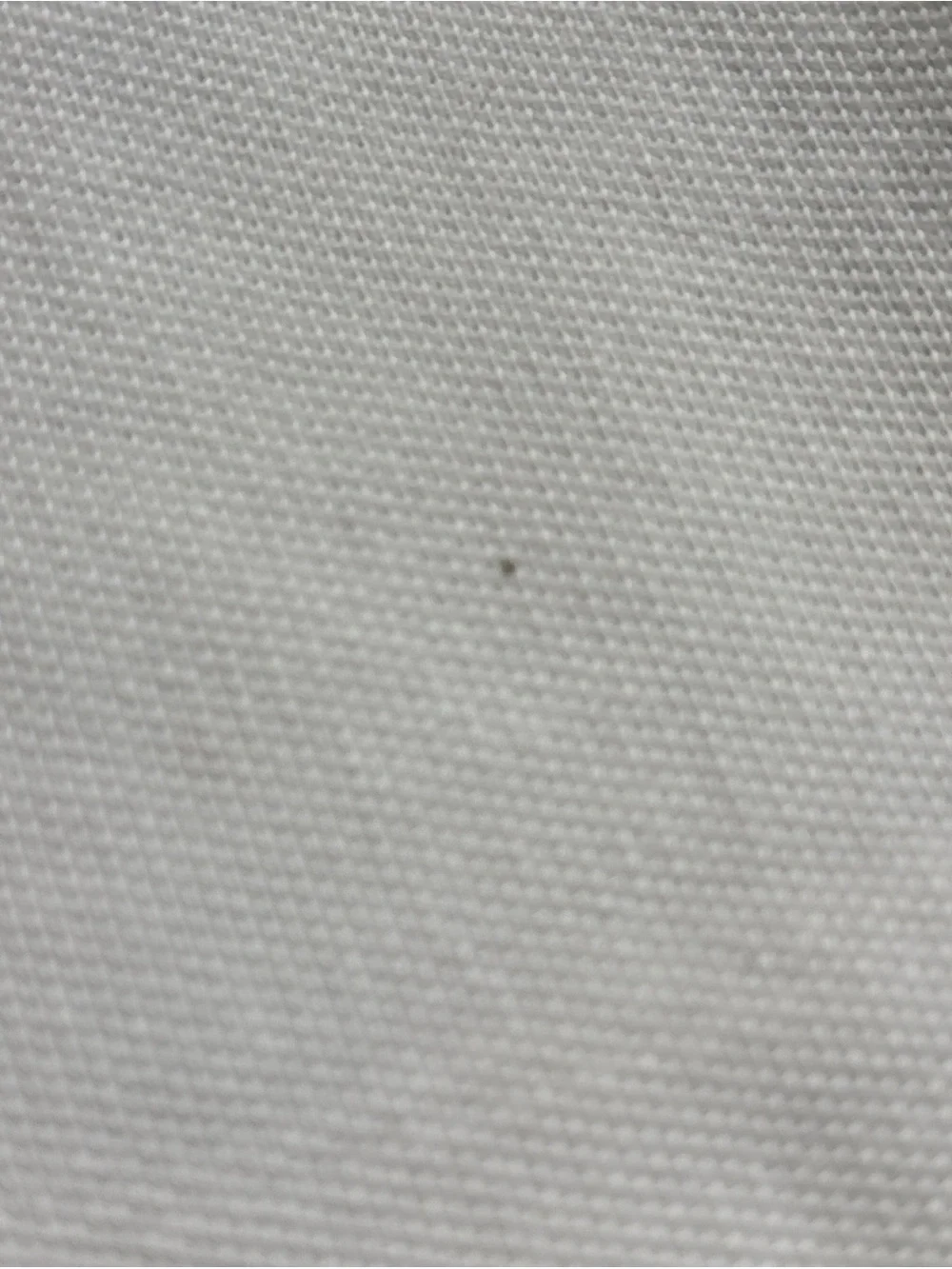 Ralph Lauren Polo Shirt in Cream with Embroidered Patch